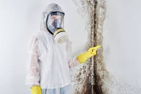 Best Environmental Consulting for Mold Prevention  in Belle Plaine, IA